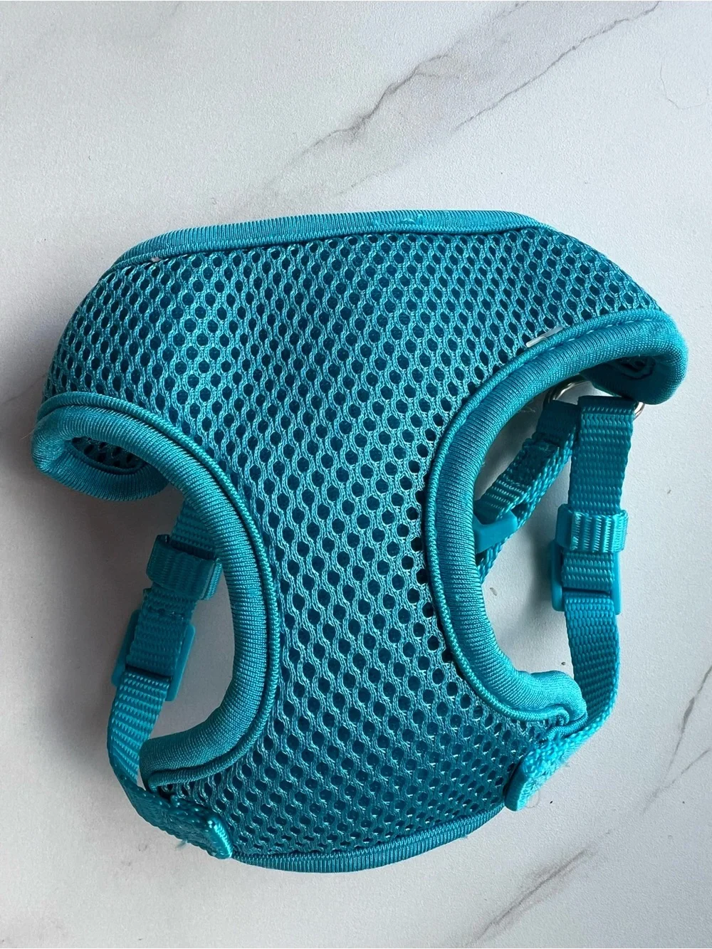 X-Small Dog Blue & Mint Mesh Harness with Crown Embroidery